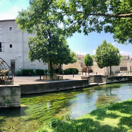 Quai Du Felibre Apartment L'Isle-sur-la-Sorgue Luaran gambar